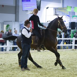 Reitsportmesse Gießen 2022, Messeimpression