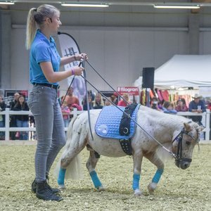 Reitsportmesse Gießen 2022, Messeimpression